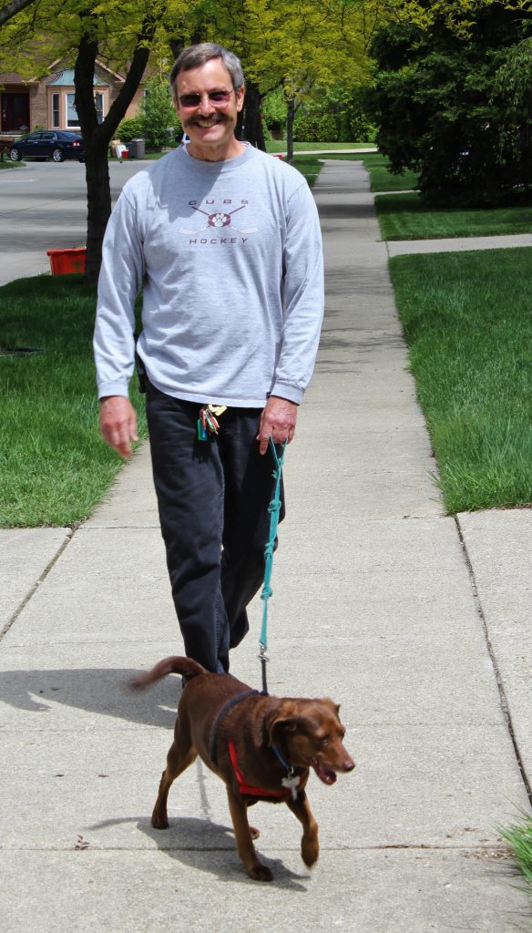 Dog Walking Farmington